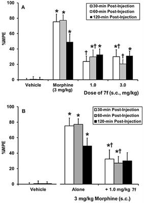 Synthesis, Biological Evaluation, and SAR Studies of 14β-phenylacetyl Substituted 17-cyclopropylmethyl-7, 8-dihydronoroxymorphinones Derivatives: Ligands With Mixed NOP and Opioid Receptor Profile